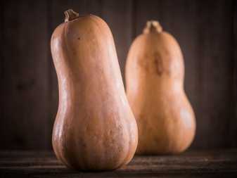 Courge Butternut