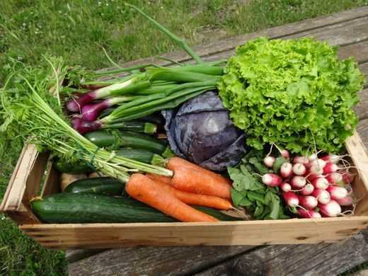 Panier de saison pour 2