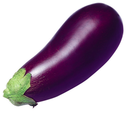 Aubergine